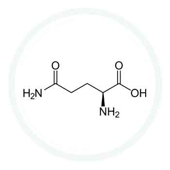 L-Glutamine  : un actif contenu dans les produits de la gamme PERMEA REGUL®